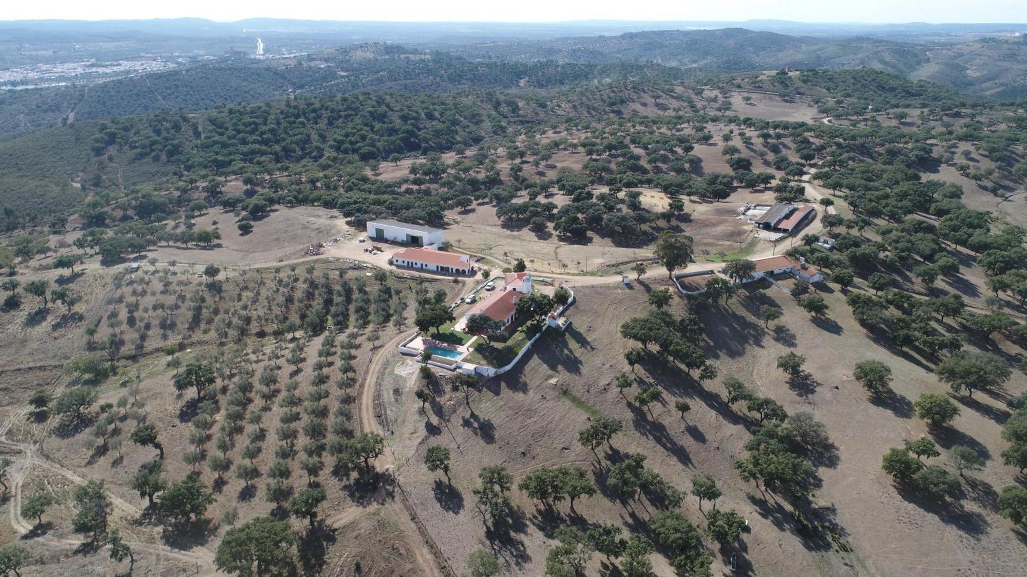 Herdade Vale De Cabras Portel Dış mekan fotoğraf