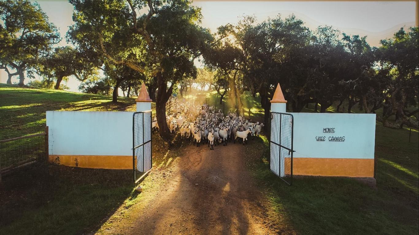 Herdade Vale De Cabras Portel Dış mekan fotoğraf